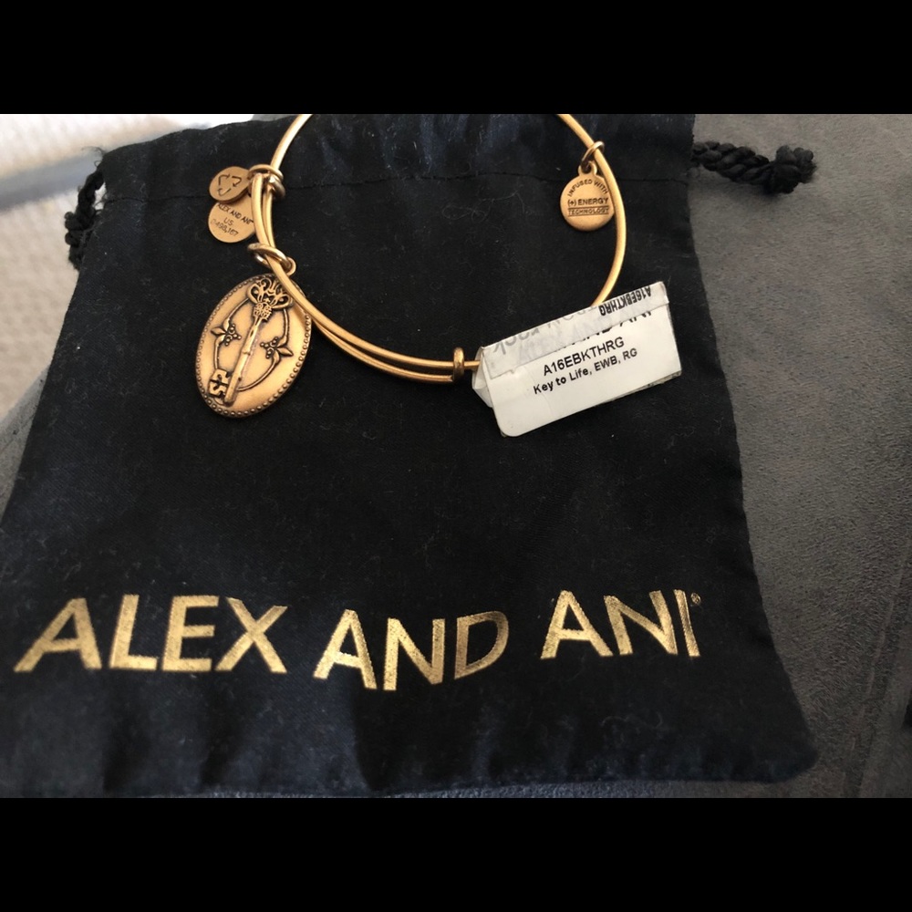 Alex and Ani Key to Life Bracelet